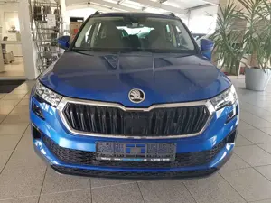 Skoda Karoq TSI DSG SELECTION Navi ACC Kamera PDC Sitzheiz. LE Bild 2