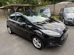 Ford Fiesta 1,25 "Titanium" -ALU-TEL-Li+Si-GJR