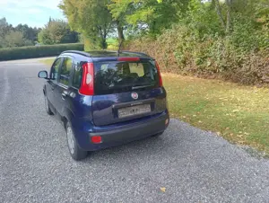 Fiat Panda Panda/Pandina 0.9 Twinair Start Bild 5