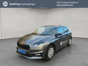 Skoda Fabia 1.0 TSI Drive LED SHZ, RFK, zusätzl. WR