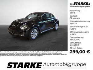 Volkswagen Beetle 1.2 TSI Design Navi PDC Bi-Xenon Klima Alu