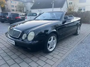 Mercedes-Benz CLK 200 KOMPRESSOR AVANTGARDE LEDER NAVI XENON