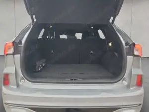 Ford Kuga 1.5 EcoBoost ST-LINE X Bild 4