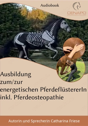 Audiobook Ausbildung zum zur energetischen PferdeflüstererIn inklusive Pferdeosteopathie