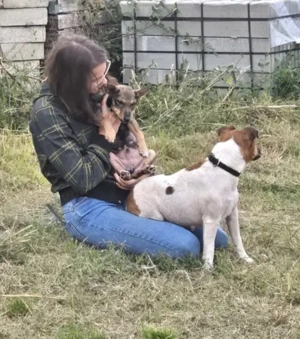 Dodo, PS in Ungarn, eine liebevolle, verspielte Mama mit einem offenen, freundlichen Wesen. Bild 3