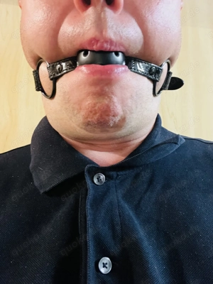 Erfüllt mir meinen Traum