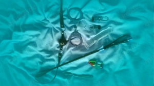 du bist weiblich, devot? Maso? Sub? Unterwürfig?