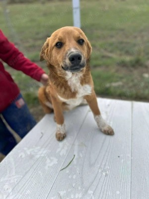 Klein, knuffig - Moritz