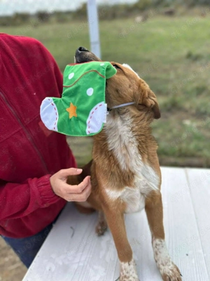 Klein, knuffig - Moritz Bild 9