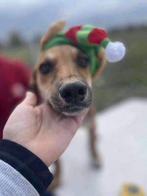 Mandy sucht ihre Familie 