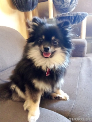 Ich suche eine Freundin 