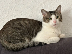 2 Brüder 1 Jahr alt 