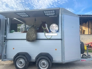 Pferdeanhänger Böckmann Traveller W2 Alu
