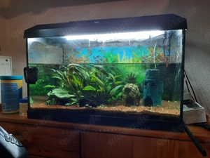 kleines Aquarium plus Zubehör