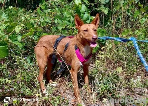 NICKI    zerbrechlich, leise, tapfer