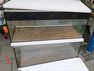 4 Aquarien 5-15 Euro dieses WE