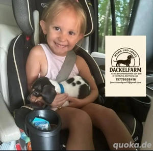 Verpassen Sie es nicht! Unsere nächsten Welpen werden erst nächstes Jahr ankommen     