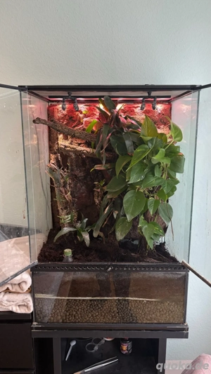 Exo Terra Terrarium 45x60x90 cm inkl. Unterschrank, Rückwand & Technik