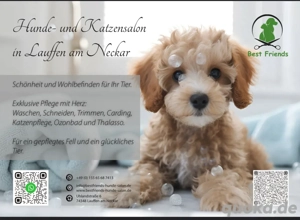 Hunde- und Katzensalon Best Friends Hundefriseur Hundesalon