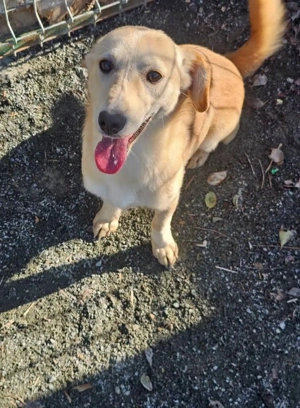 Hübsche Teresa sucht neue Bleibe!