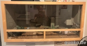 Verkaufe 3 Holzterrarien