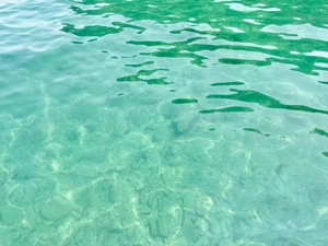 Geiler reifer Typ....