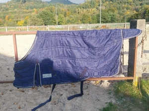 Verkaufe Stalldecke in 135