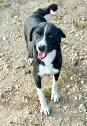 Ezra wartet auf euch