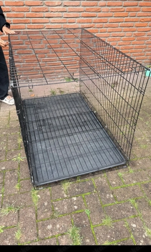 Hunde, käfig, Metall