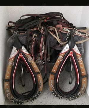 Festliche Arbeitskummete zuverkaufen