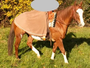  Toller Reitrock von ADMIRABLE   ideal für kalte Tage!   