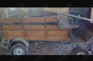 Kutsche fast geschenkt 