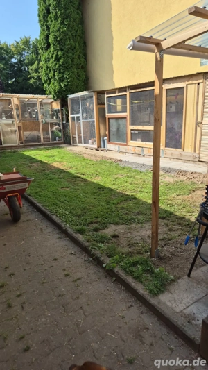 Zuhause für Sittiche undZiervögel