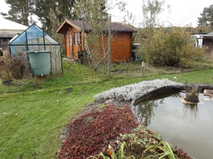 Kleingarten zur Pacht in Zahna Bild 3