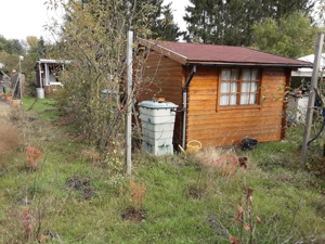 Kleingarten zur Pacht in Zahna Bild 6