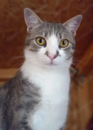 Anutza - kleine Frohnatur auf der Suche nach ihrem Glück!