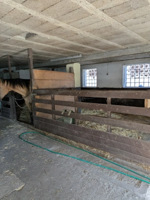 Pferdeboxen für Rentner frei