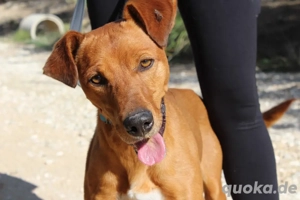 junger Teo - Du willst doch auch Freunde