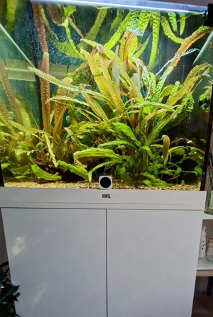 Aquarium Juwel 200L Komplett 