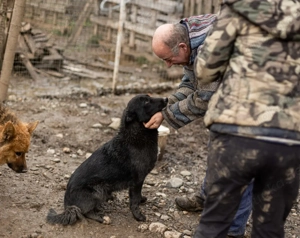 Nistru; süßer Fratz mit weißem Latz sucht sein Zuhause
