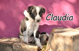 Claudia ist bereit, die Welt zu entdecken   darf sie das vielleicht bald an deiner Seite tun?