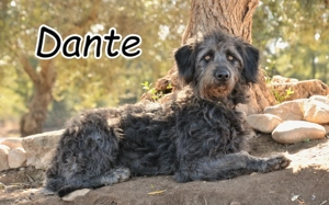  Darf er bei dir zur Ruhe kommen und endlich ankommen?