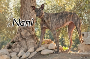  Sie wartet nur darauf, endlich gesehen und geliebt zu werden   vielleicht ja von dir?