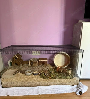 Dsungarischer Zwerghamster mit Käfig + Zubehör 