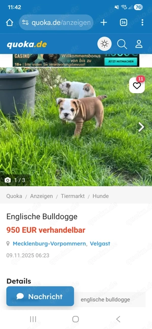 VORSICHT , Diese Anzeige ist Betrug 