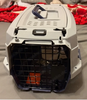 Katzen Transport Box