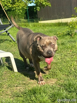 wunderbare schmusebacke 