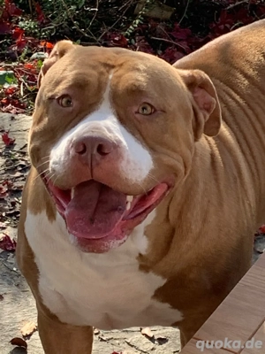 wunderbare schmusebacken 