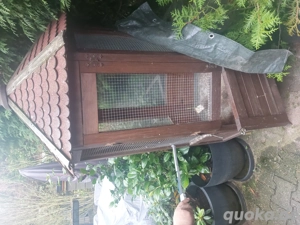 6 eckiger Vogelkäfig aus Holz