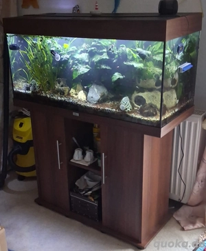 180 l Juwel Aquarium mit Unterschrank und Besatz